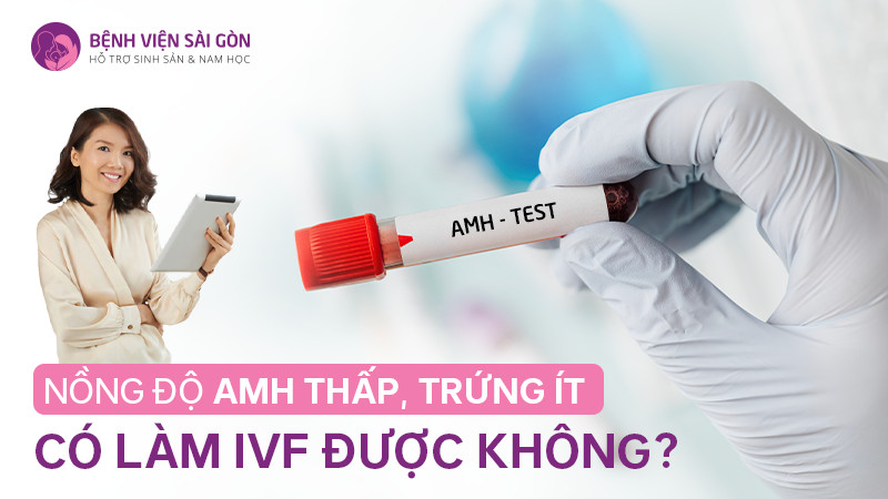 Trứng ít có làm thụ tinh ống nghiệm được không ? Trứng ít có làm IVF được không?