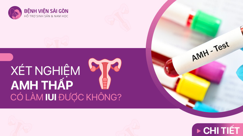 Xét nghiệm AMH thấp có làm IUI được không?