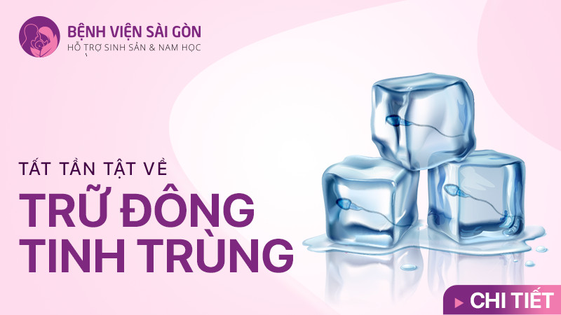 Tất tần tật về trữ đông tinh trùng