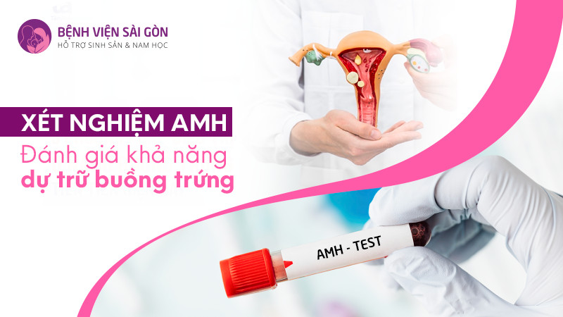 Xét nghiệm AMH: Đánh giá khả năng dự trữ buồng trứng Xét nghiệm AMH: Đánh giá khả năng dự trữ buồng trứng