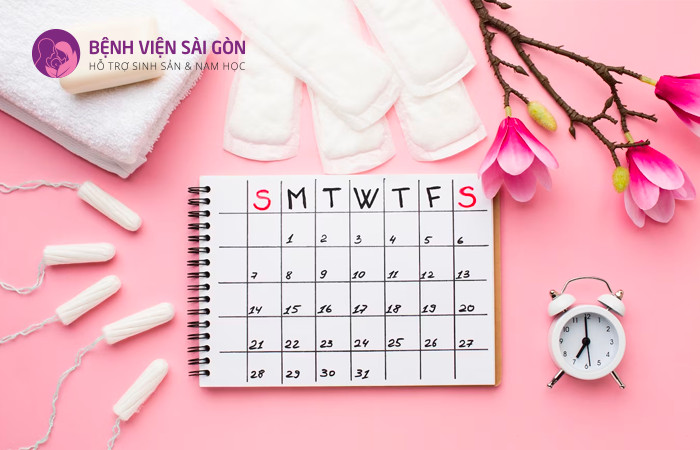 Nồng độ Progesterone ổn định giúp tăng khả năng mang thai
