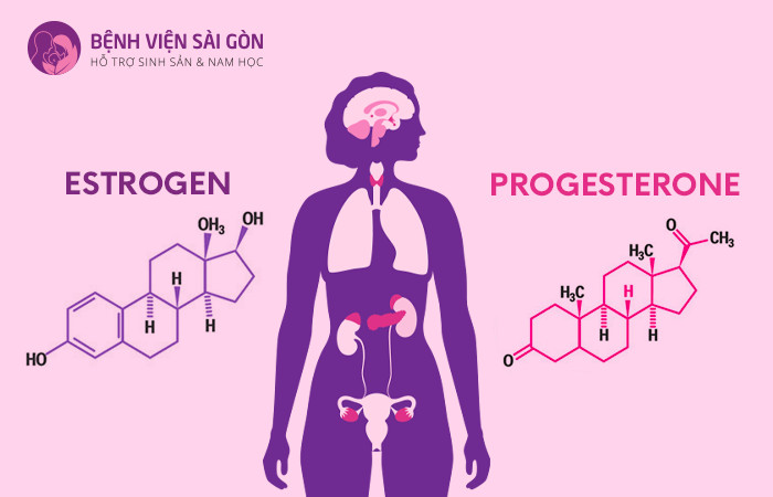 Nồng độ nội tiết tố nữ thấp gây giảm ham muốn tình dục ở nữ giới