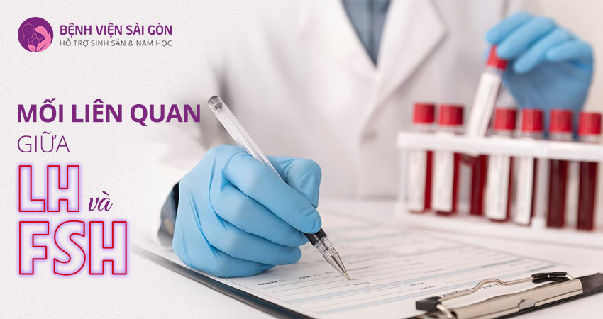 Hormone LH và FSH có mối liên hệ gì với sức khỏe