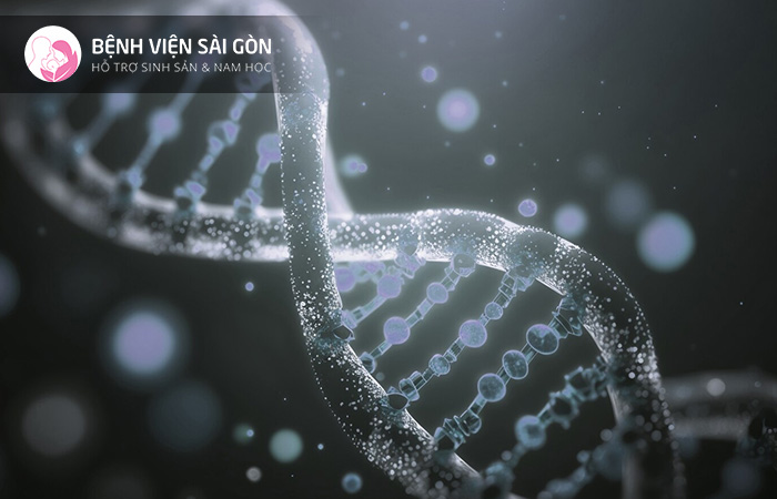 Vì ADN hay DNA là một, cho nên cấu trúc của chúng giống nhau và chỉ có bốn chữ cái là A-T-C và G