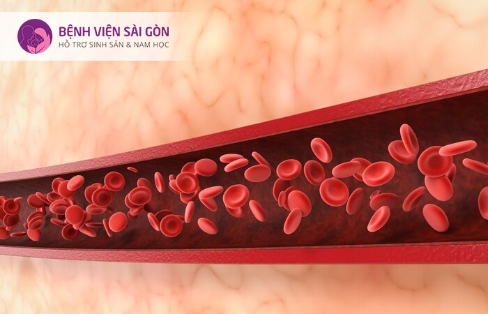 Sự bất thường của các mạch máu cũng có thể khiến mẹ bầu bị tiền sản giật