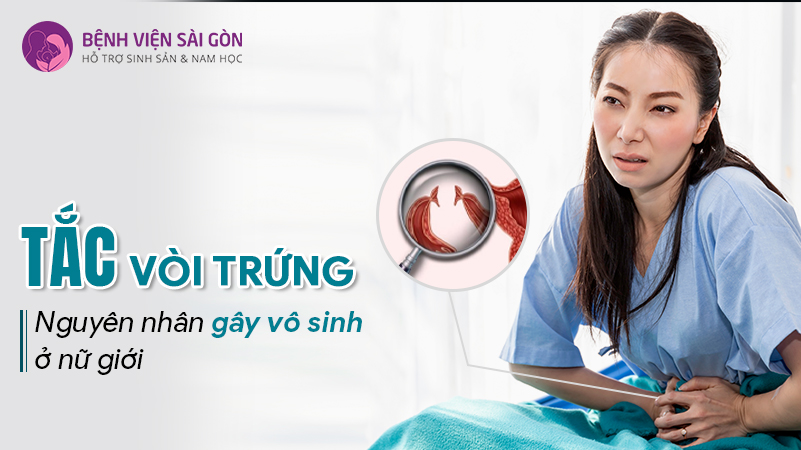Tắc vòi trứng nguyên nhân gây vô sinh ở nữ giới Tắc vòi trứng nguyên nhân gây vô sinh ở nữ giới