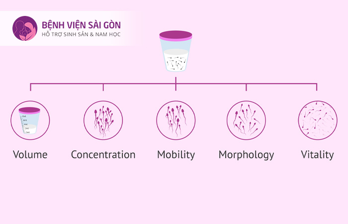 Xét nghiệm tinh dịch đồ có vai trò quan trọng trong điều trị vô sinh hiếm muộn
