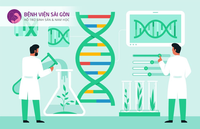 Xét nghiệm di truyền giúp kiểm tra cấu trúc, số lượng của các nhiễm sắc thể