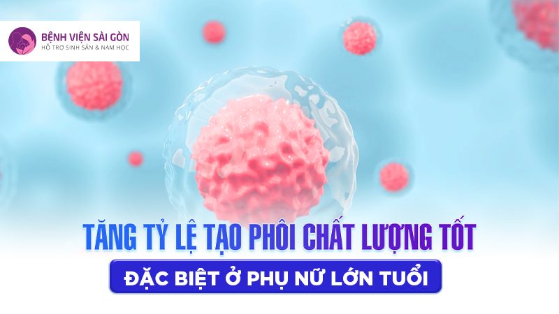 Piezo ICSI phù hợp cho những phụ nữ lớn tuổi