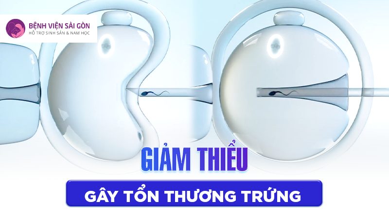 Piezo ICSI là phương pháp phù hợp cho những nang trứng yếu