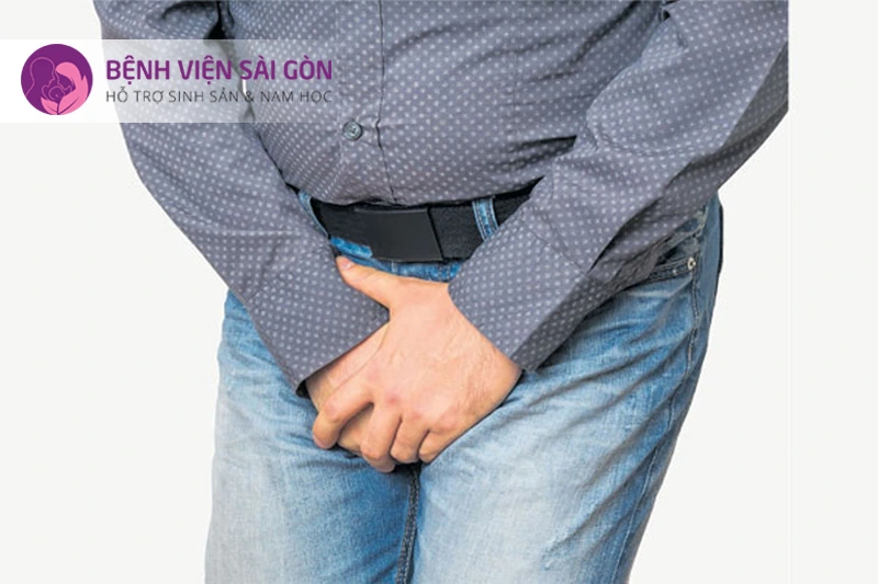 Vấn đề về khả năng sinh sản ở nam giới Vấn đề về khả năng sinh sản ở nam giới