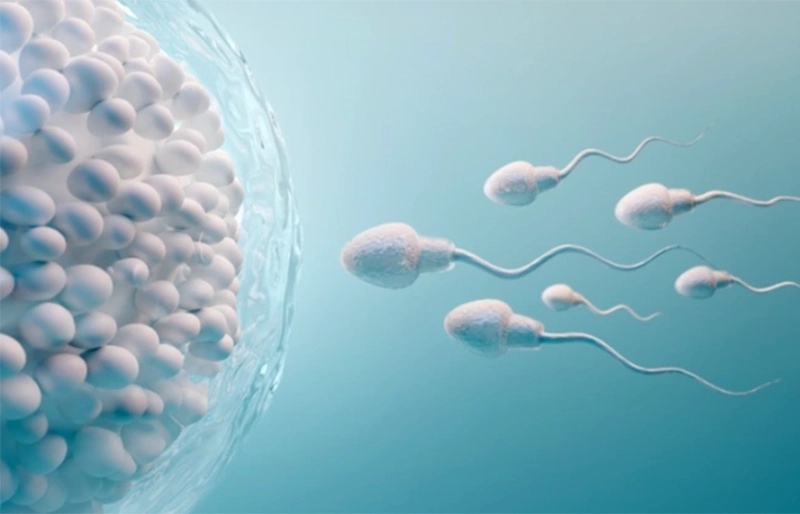 Các yếu tố tác động đến kết quả IVF