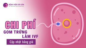 chi phí gom trứng làm ivf là bao nhiêu