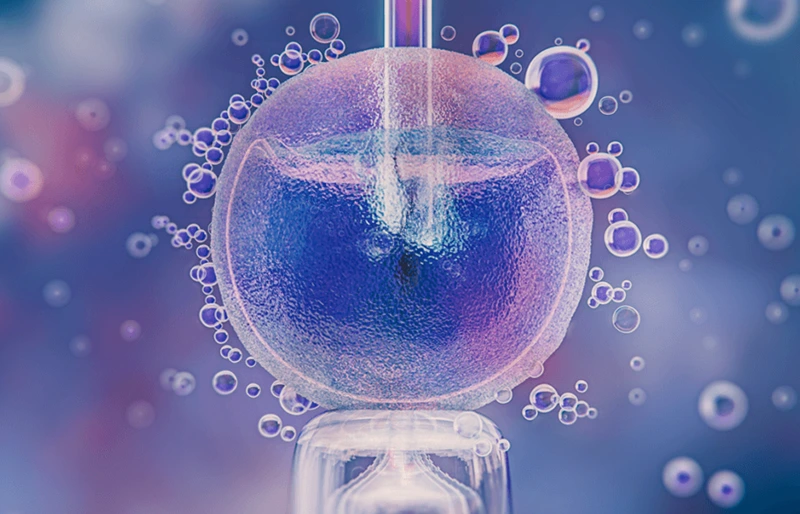 Thụ tinh ống nghiệm (IVF) là gì Thụ tinh ống nghiệm (IVF) là gì